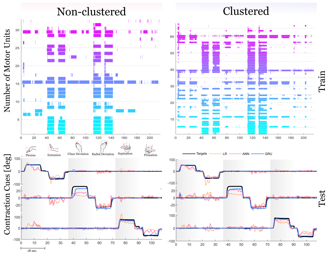 Comparison of non-clustered vs. clustered motor units with visualization of contraction cues